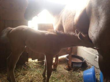 wpid-20140511_100725