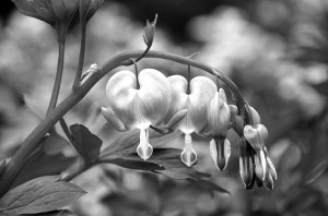 6928750168_1efee1595b_z