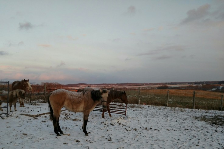 wp-1450478016973 image