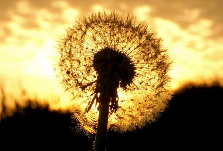 18301842_10213035106098888_8962493278263816136_n