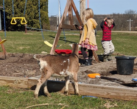 img_20200330_153243_mp