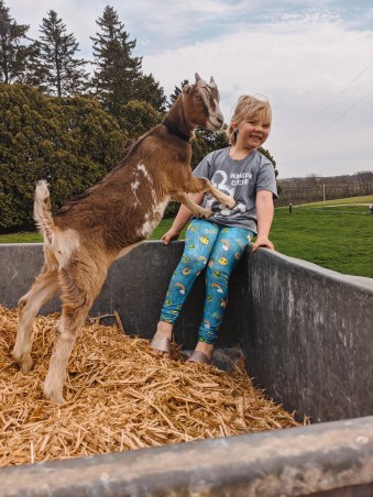 Picture_20200501_183100717