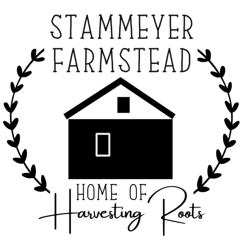 SF.HR.Logo.transparentBold (1)